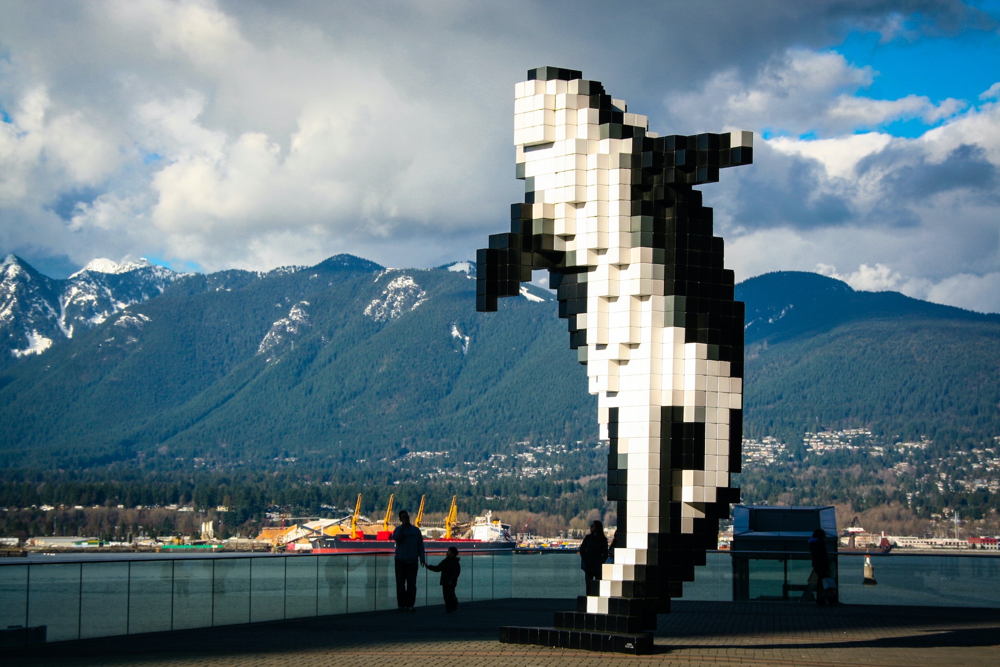 Digital Orca Vancouver